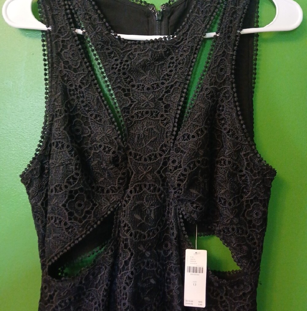 Anthropologie Black Lace Sleeveless Cutout Midi Dress NWT - Picture 4 of 12